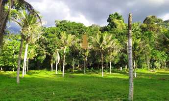 Imagem: BELÍSSIMO SITIO JARDIM NA BR 174 KM 17