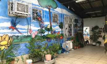 Imagem 6: VENDO CASA (450 M²) NO ADRIANÓPOLIS PRÓXIMA AO COLÉGIO LATO SENSU