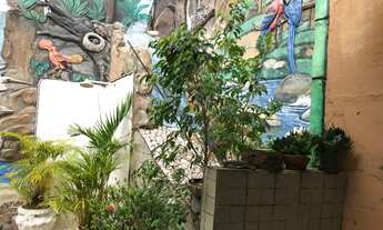 Imagem 2: VENDO CASA (450 M²) NO ADRIANÓPOLIS PRÓXIMA AO COLÉGIO LATO SENSU