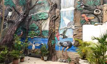 Imagem 4: VENDO CASA (450 M²) NO ADRIANÓPOLIS PRÓXIMA AO COLÉGIO LATO SENSU