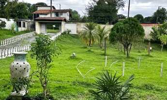 Imagem: CASA COMERCIAL em MANAUS - AM, FLORES