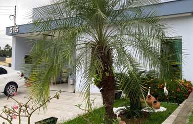 Imagem 2: CASA RESIDENCIAL em MANAUS - AM, COLÔNIA TERRA NOVA - CONDOMÍNIO FOREST HILL