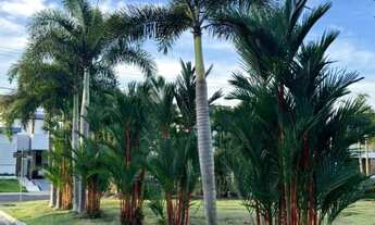 Imagem: TERRENO INDUSTRIAL em MANAUS - AM, CHAPADA