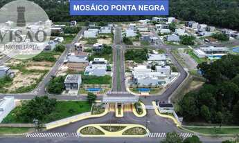 Imagem: TERRENO RESIDENCIAL em MANAUS - AM, Mosáico