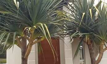 Imagem: CASA RESIDENCIAL em CAMPINAS - SP, PARQUE