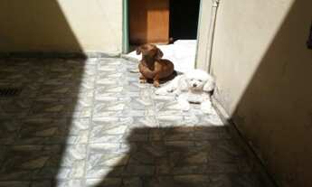 Imagem 7: CASA RESIDENCIAL em JUNDIAÍ - SP, PARQUE ALMERINDA PEREIRA CHAVES