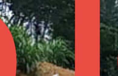 Imagem 5: TERRENO RESIDENCIAL em CAMPO LIMPO PAULISTA - SP, RESERVA BOM VIVER