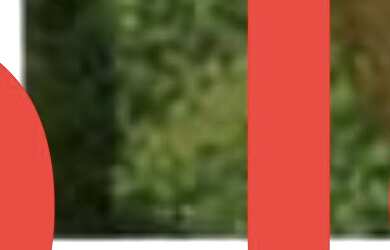 Imagem 2: CHACARA RESIDENCIAL em CAMPO LIMPO PAULISTA - SP, PARQUE NIÁGARA