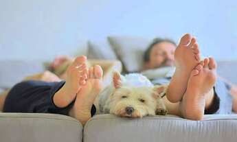 Imagem: COBERTURA RESIDENCIAL em RESENDE - RJ, SANTA