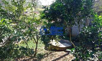 Imagem 7: Chácara próximo a Rodovia dos Tamoios, Km 30, estrada Santa Branca na Vila Santa Edwiges