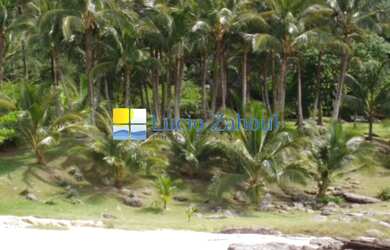 Imagem 6: Oportunidade única de área frente ao mar com 7.500 m² privativos de terreno em Calhetas