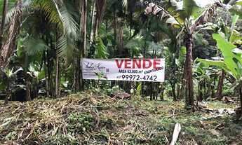 Imagem 5: Gleba rural na Estrada do Pico, são 63mil metros, escriturados, com Incra, área com rio qu