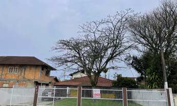 Imagem: Casa com terreno amplo no Bairro Comasa