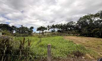 Imagem 7: TERRENO PLANO NO VILA NOVA, LATERAL DA ESTRADA BLUMENAU, LINDO E LOCAL ALTO