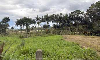 Imagem 6: TERRENO PLANO NO VILA NOVA, LATERAL DA ESTRADA BLUMENAU, LINDO E LOCAL ALTO