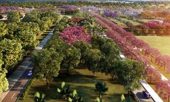 Imagem 3: TERRENOS NO HARAS PATENTE - JAGUARIÚNA