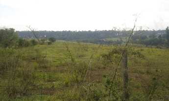 Imagem 3: AREA INDUSTRIAL em PAULINIA - SP, PAULÍNIA - MONTE ALEGRE