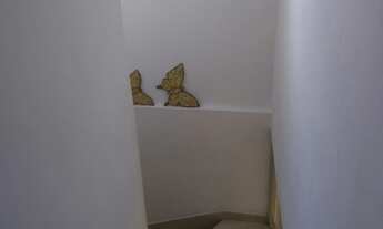 Imagem 12: Sobrado para Venda Vila Bela Vista (zona Norte), São Paulo!!!