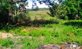 Imagem: TERRENO À VENDA NO CONJUNTO CHEFE CLODOALDO