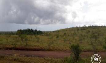 Imagem 4: FAZENDA - AREA DE MINERAÇÃO - FERREIRA GOMES