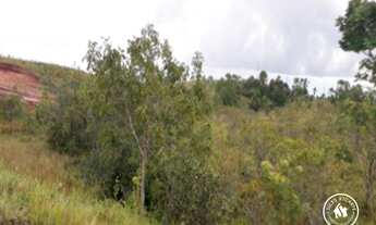 Imagem 7: FAZENDA - AREA DE MINERAÇÃO - FERREIRA GOMES