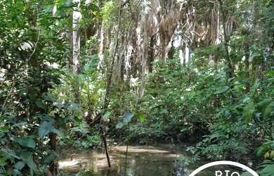 Imagem 5: CHÁCARA À VENDA NO RAMAL DA UNIFAP EM MACAPÁ
