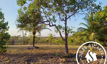 Imagem 2: CHÁCARA À VENDA NO KM 50 EM MACAPÁ