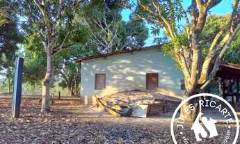 Imagem 5: CHÁCARA À VENDA NO KM 50 EM MACAPÁ