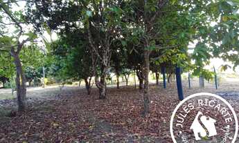 Imagem 3: CHÁCARA À VENDA NO KM 50 EM MACAPÁ