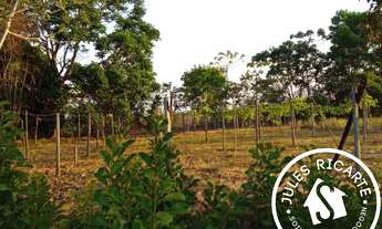 Imagem 7: CHÁCARA À VENDA NO KM 50 EM MACAPÁ