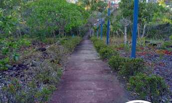 Imagem 4: CHÁCARA À VENDA NO KM 50 EM MACAPÁ