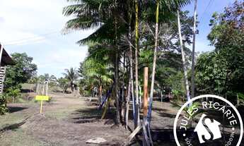 Imagem 5: CHACARA RURAL em Macapá - AP, Br 156, km 38