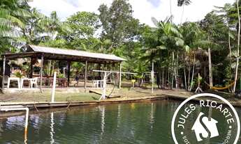 Imagem 4: CHACARA RURAL em Macapá - AP, Br 156, km 38