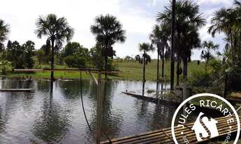 Imagem 3: CHACARA RURAL em Macapá - AP, Br 156, km 38