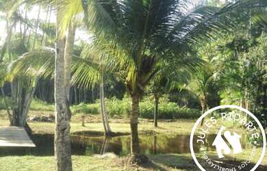 Imagem 4: ÁREA RURAL À VENDA - PÓLO HORTIGRANJEIRO - FAZENDINHA