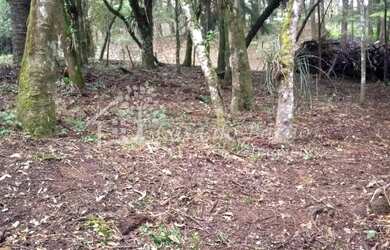 Imagem 5: TERRENO RESIDENCIAL em MONTE VERDE - MG, centro