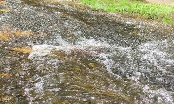 Imagem 4: Casa com 7 quartos, 457 m² na Cascata do Amores - Teresópolis/RJ