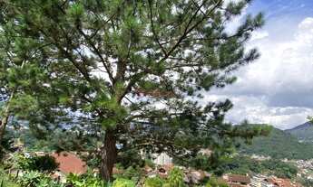 Imagem 7: Casa com 5 suítes, 700 m² em Iúcas - Teresópolis/RJ