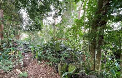 Imagem 4: Terreno com 2.151 m² em Agriões - Teresópolis/RJ