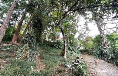 Imagem 7: Terreno com 2.151 m² em Agriões - Teresópolis/RJ