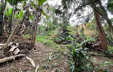 Imagem 6: Terreno com 2.151 m² em Agriões - Teresópolis/RJ