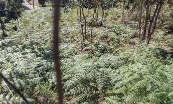 Imagem 5: Terreno com 325 m² em condomínio em Albuquerque - Teresópolis/RJ