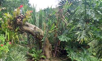 Imagem 4: Casa independente com 3 quartos, 1.300 m² em Albuquerque - Teresópolis/RJ