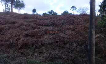 Imagem: 2300M² de Área Total na Rua Paraguai