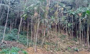 Imagem 7: Apartamento para venda com 3 quartos sendo 1 suíte, 85m² no Alto - Teresópolis/RJ