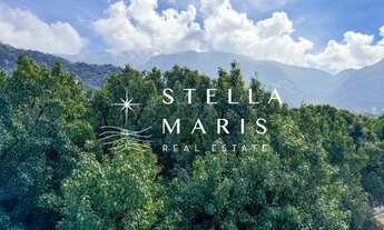 Imagem 6: Leblon, Apartamento com 301 m2, varanda e vista única, livre para o Cristo Redentor e Mata