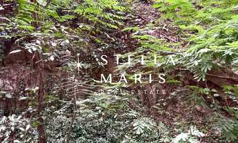 Imagem 3: Lagoa, Apartamento com 3 quartos e 1 vaga todo novinho, com muita privacidade, silencioso