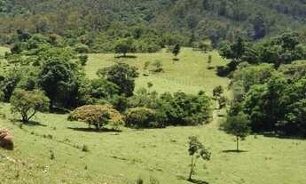 Imagem: SITIO RURAL em PINHALZINHO - SP, CACHOEIRINHA