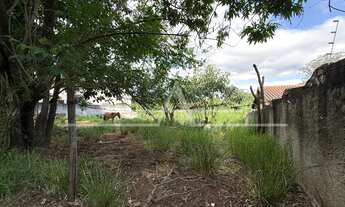Imagem 4: TERRENO INDUSTRIAL em BRAGANÇA PAULISTA - SP, CURITIBANOS