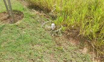 Imagem 5: TERRENO RESIDENCIAL em ITU - SP, ALPHAVILLE CASTELLO